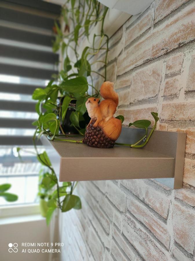 Baross Apartman Kaposvár Extérieur photo